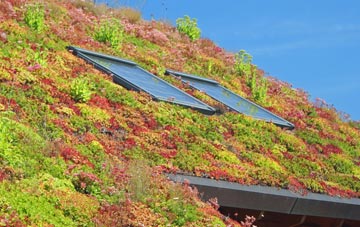 Botley living roof systems