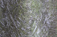 Botley fibreglass roof work