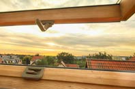 rated Botley roof window companies
